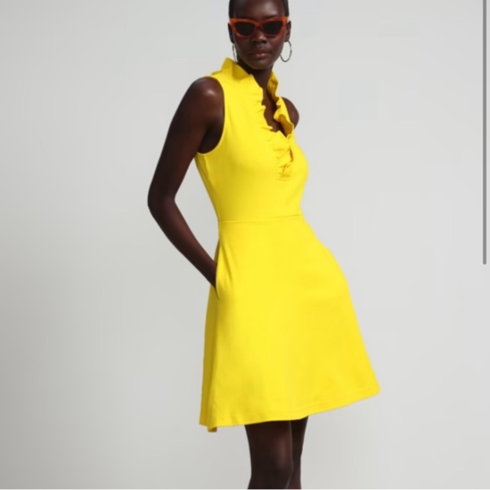 Ruffle Mini Fit & Flare Dress w. POCKETS!